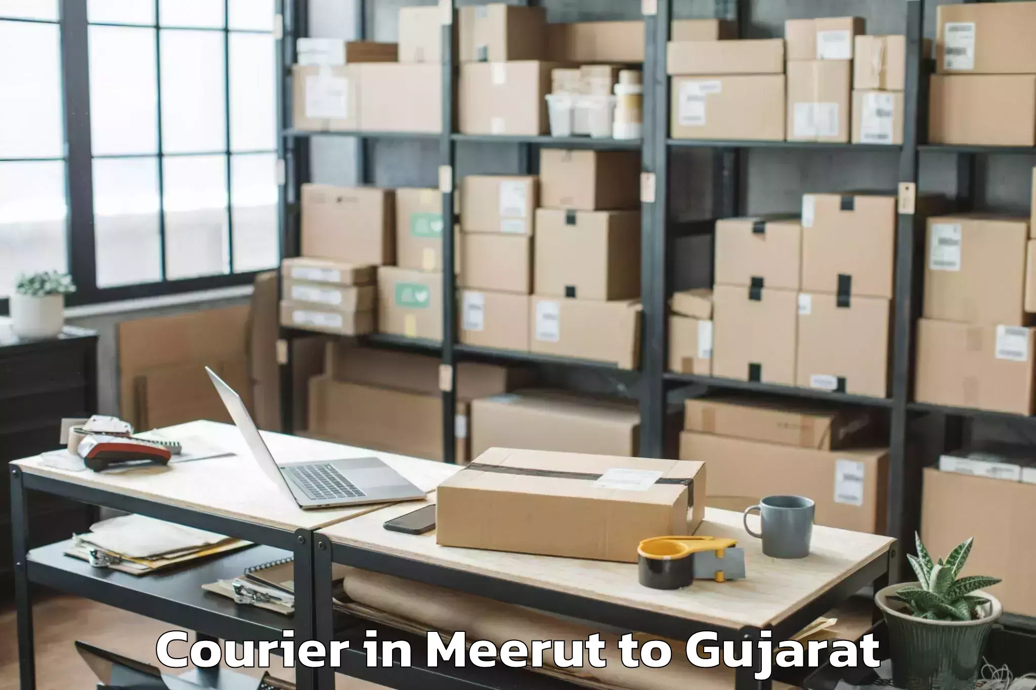 Easy Meerut to Childrens University Gandhinag Courier Booking